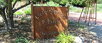 sign at entrance of Licton Springs P-Patch community garden at North Seattle College